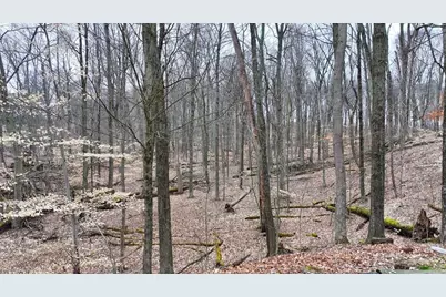 752 Vanderbilt Rd, Lexington, OH 44904 - Photo 32