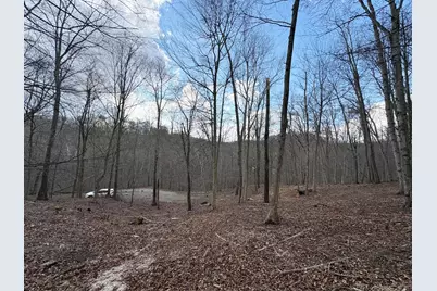 0 Township Road 134 SE, New Straitsville, OH 43766 - Photo 4