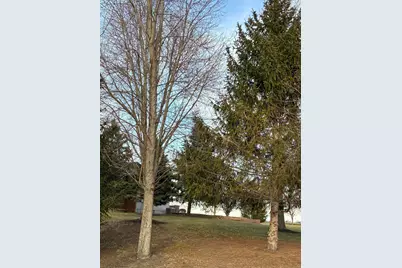 3025 Smartweed Lane, Grove City, OH 43123 - Photo 8