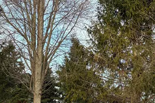 3025 Smartweed Ln, Grove City, OH 43123 - Photo 8