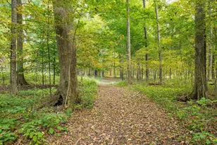 1136 Porter Ln, Centerburg, OH 43011 - Photo 72