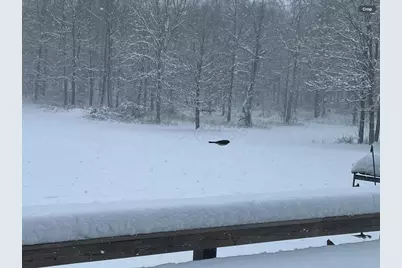 1136 Porter Lane, Centerburg, OH 43011 - Photo 88