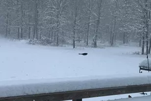 1136 Porter Ln, Centerburg, OH 43011 - Photo 88