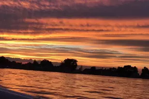 11974 Township Rd 406, Thornville, OH 43076 - Photo 48