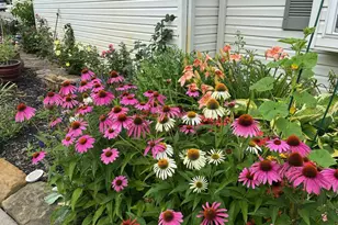 11974 Township Rd 406, Thornville, OH 43076 - Photo 6