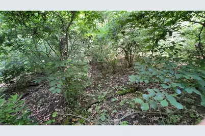 0 Point Lookout Road, Stockport, OH 43787 - Photo 10