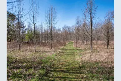 5287 Genoa Farms Boulevard, Westerville, OH 43082 - Photo 34