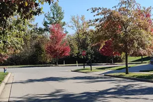 9616 Arrowwood Dr, Plain City, OH 43064 - Photo 88