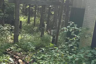 6227 Guinn Rd, McConnelsville, OH 43756 - Photo 2