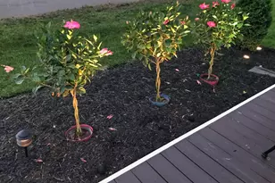 1137 Apple Valley Dr, Howard, OH 43028 - Photo 36