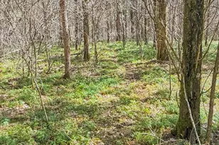 6075 State Route 73, Peebles, OH 45660 - Photo 32