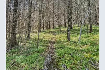 6075 State Route 73, Bratton Township, OH 45660 - Photo 28