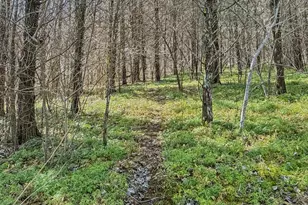 6075 State Route 73, Peebles, OH 45660 - Photo 28