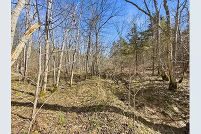 6075 State Route 73, Bratton Township, OH 45660 - Photo 34