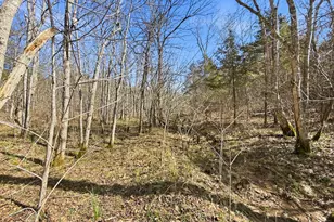 6075 State Route 73, Peebles, OH 45660 - Photo 34