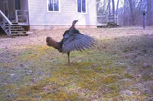 6075 State Route 73, Peebles, OH 45660 - Photo 44