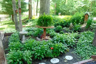 2620 Burnett Rd, Cutler, OH 45724 - Photo 2