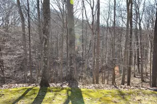 2620 Burnett Rd, Cutler, OH 45724 - Photo 44