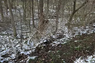 2687-2690 Pine Road NE, Thornville, OH 43076 - Photo 1