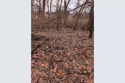 5828 Township Road 14, Mount Gilead, OH 43338 - Photo 12