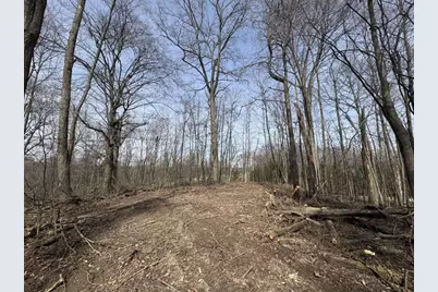 5828 Township Road 14, Mount Gilead, OH 43338 - Photo 6