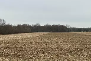 0 N County Line Rd, Sunbury, OH 43074 - Photo 1