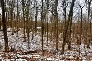 15569 King Rd, Howard, OH 43028 - Photo 1