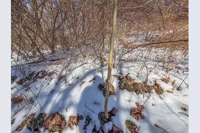 0 Blue Rock Church Road, Chandlersville, OH 43727 - Photo 16