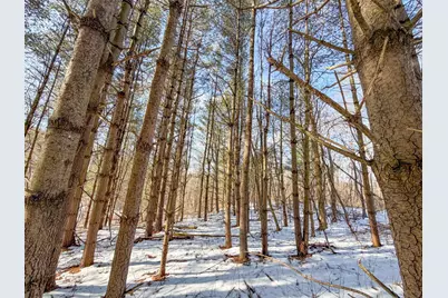 0 Blue Rock Church Road, Chandlersville, OH 43727 - Photo 14