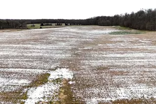 0 County Road 98, Mount Gilead, OH 43338 - Photo 4