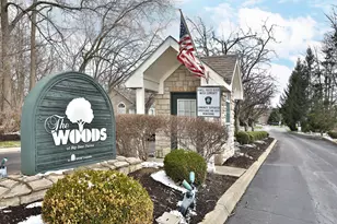 354 Bear Woods Dr, Powell, OH 43065 - Photo 34