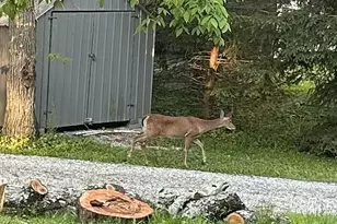 7664 Denunes Rd, Johnstown, OH 43031 - Photo 66