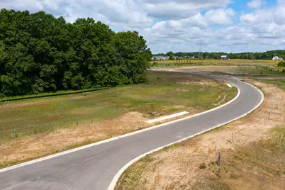 3277 Tender Avenue #Lot 7168, Powell, OH 43065 - Photo 54