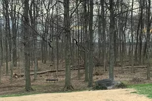 680 E Newmans Cardington Road E, Marion, OH 43302 - Photo 6