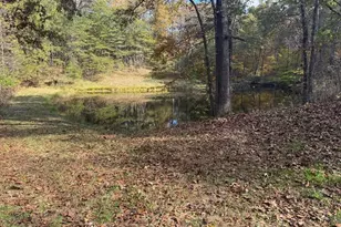 32045 Cabin Hill Rd, Vinton, OH 45686 - Photo 8