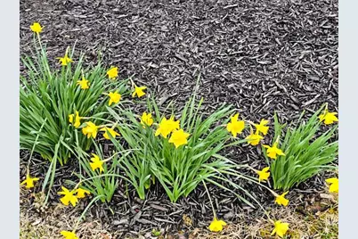 424 Sycamore Drive, Pickerington, OH 43147 - Photo 44