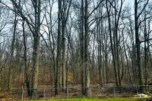 424 Sycamore Dr, Pickerington, OH 43147 - Photo 44