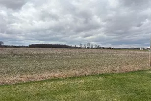 0 Marsh Rd, Ostrander, OH 43061 - Photo 2