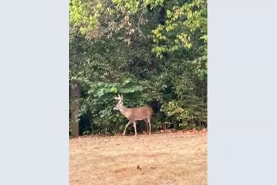 20000 Kalklosch Road, Logan, OH 43138 - Photo 42