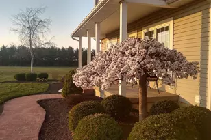 10304 Rosedale-Milford Center Rd, Irwin, OH 43029 - Photo 54