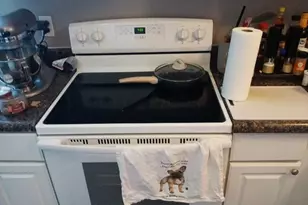 2057 Bridlewood Blvd, Columbus, OH 43207 - Photo 8