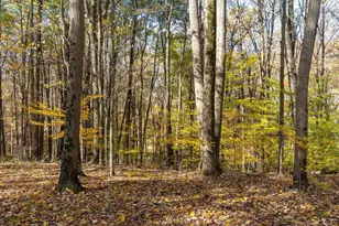4330 Wesleyan Church Rd, Granville, OH 43023 - Photo 92