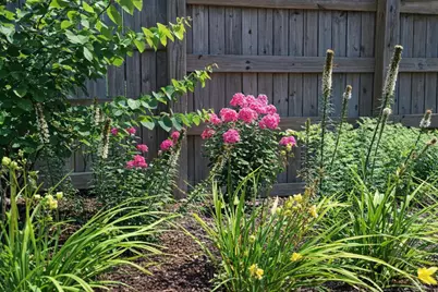 2577 Westmont Boulevard, Columbus, OH 43221 - Photo 44