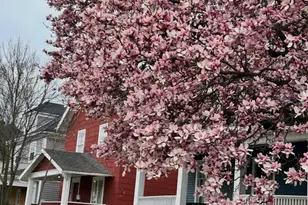 63 N Ogden Ave, Columbus, OH 43204 - Photo 62