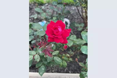 4042 Blendon Point Drive #57A, Columbus, OH 43230 - Photo 46