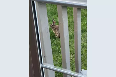 4042 Blendon Point Drive #57A, Columbus, OH 43230 - Photo 44