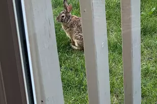 4042 Blendon Point Dr, Columbus, OH 43230 - Photo 44