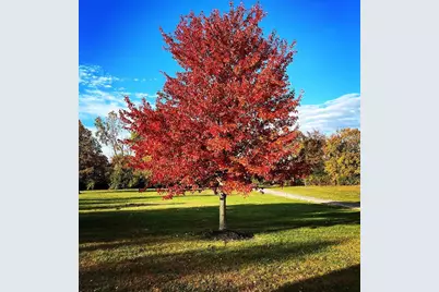 19150 West Darby Road, Marysville, OH 43040 - Photo 116