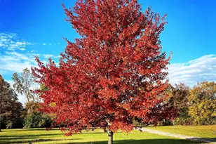 19150 W Darby Rd, Marysville, OH 43040 - Photo 116