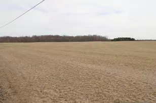 0 County Road 97, Mount Gilead, OH 43338 - Photo 14